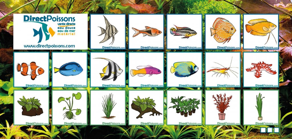 DirectPoissons DirectPoissons