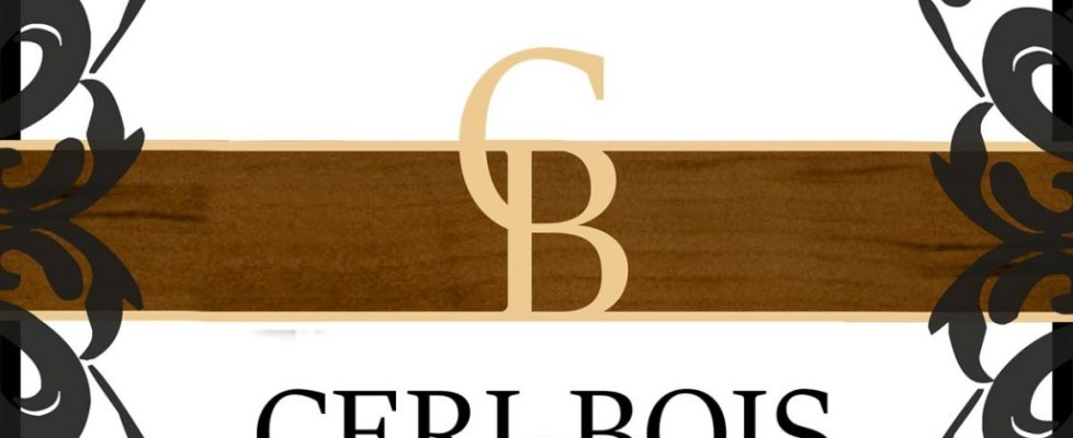 CERI-bois - logo, plaquette cartes de visite, site web par L'Agence de Com'