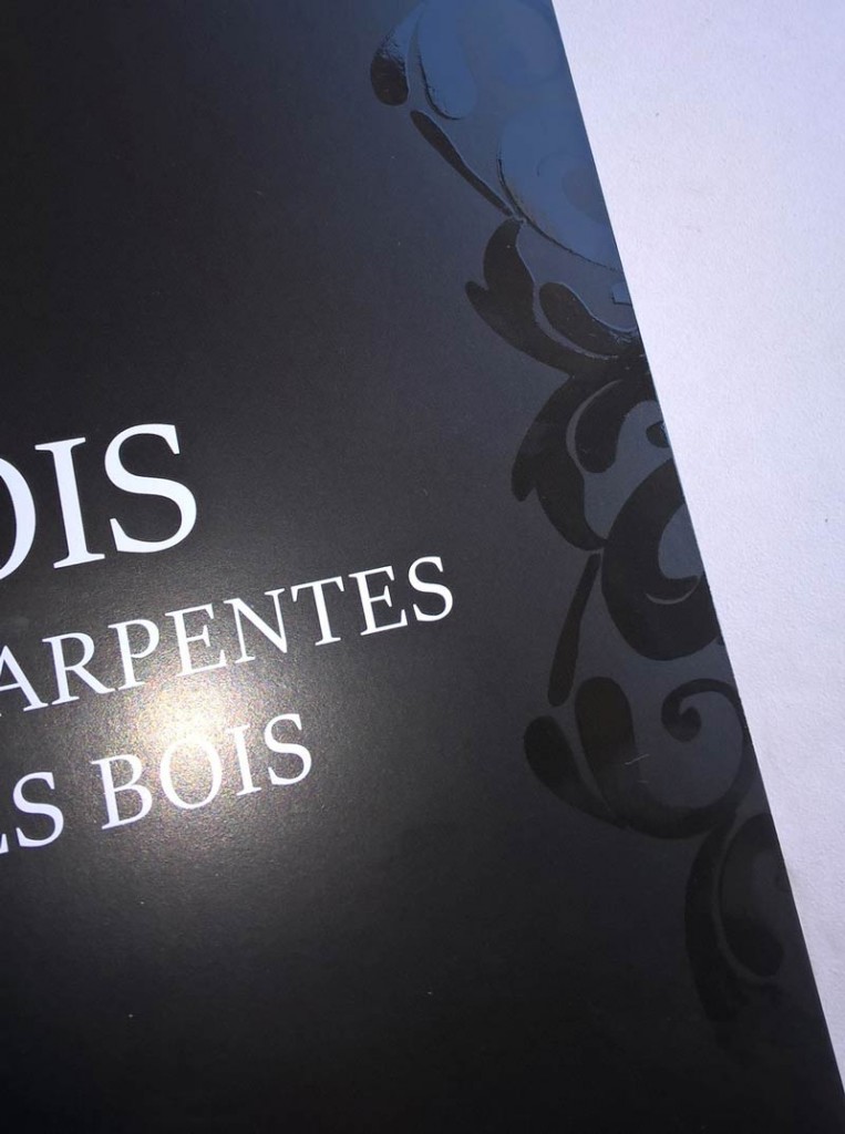 CERI-bois - logo, plaquette cartes de visite, site web par L'Agence de Com'