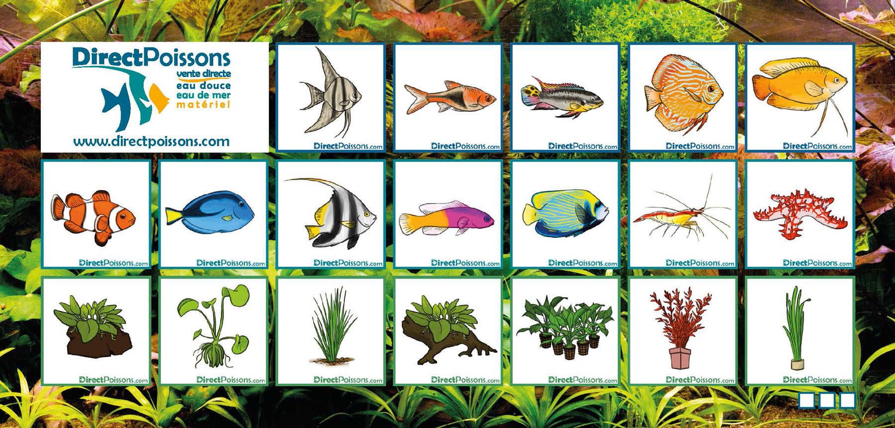 vignettes-illustrations-agence-de-com illustrations par l'agence de com - Directpoissons